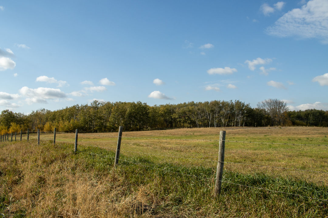 A fence line running along open Alberta farmland